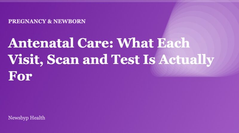 Antenatal Care: What Each Visit, Scan and Test Is Actually For